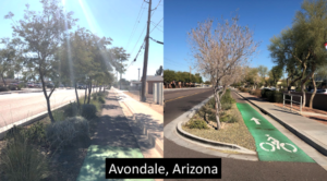 Imagen: Ciclovía confinada con infraestructura verde y árboles que den sombra en Avondale, Arizona. Fuente: elaboración propia.