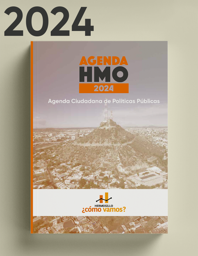 Descarga Agenda Ciudadana de Políticas Públicas HCV 2024