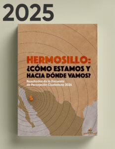 Publicaciones Encuesta Percepcion Ciudadana 2024