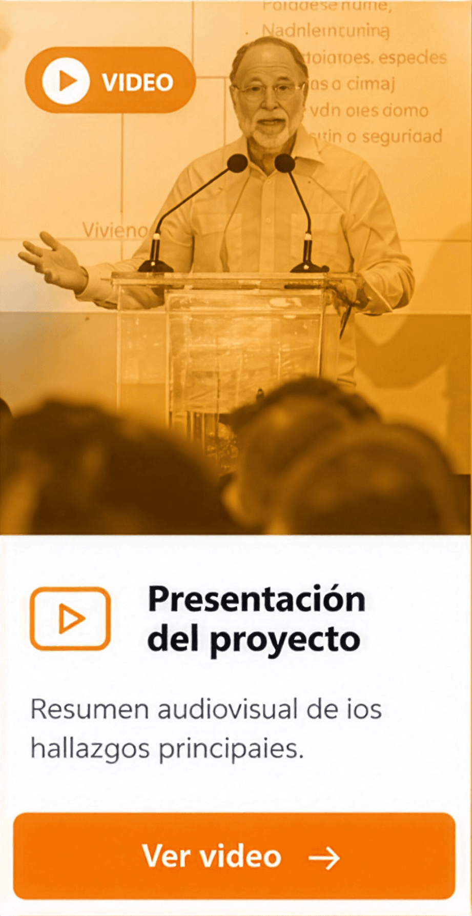 Presentación del proyecto: resumen audiovisual de los hallazgos principales