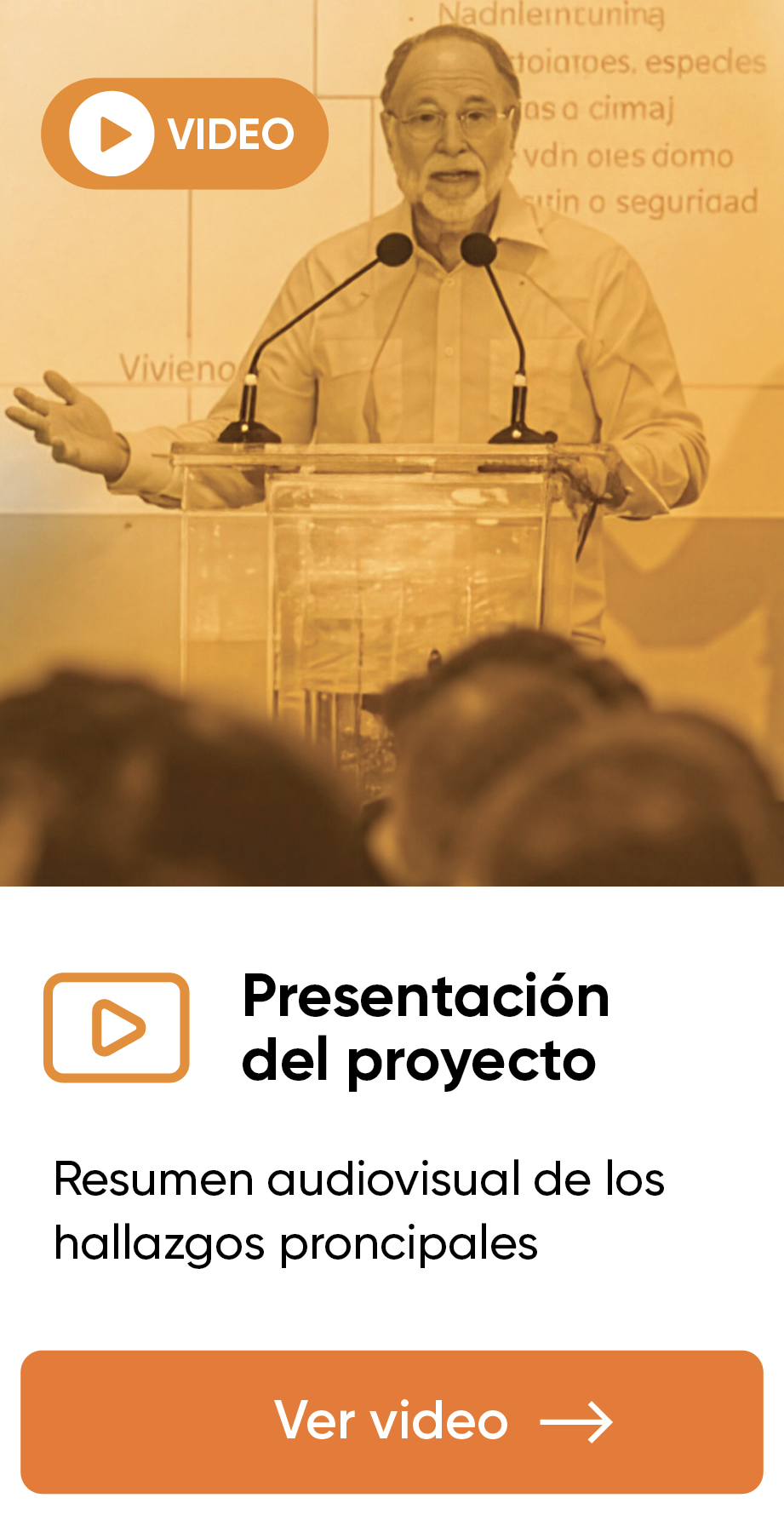 Presentación del proyecto: resumen audiovisual de los hallazgos principales